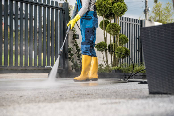 Best Roof Pressure Washing  in Savage, MD